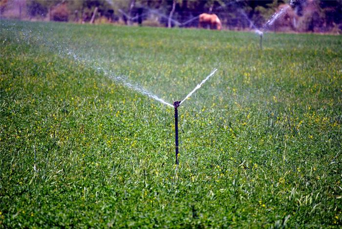 آبیاری بارانی